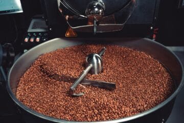 The Rex Roaster: A New Benchmark in Affordable Roasting Tech