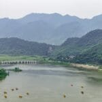 Fire Gardens Raw Puerh A Yiwu Revelation