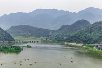 Fire Garden’s Raw Puerh: A Yiwu Revelation