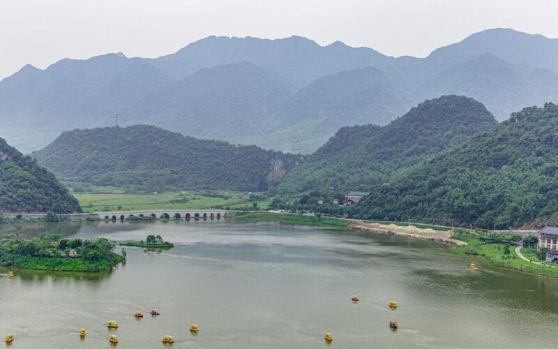 Fire Gardens Raw Puerh A Yiwu Revelation