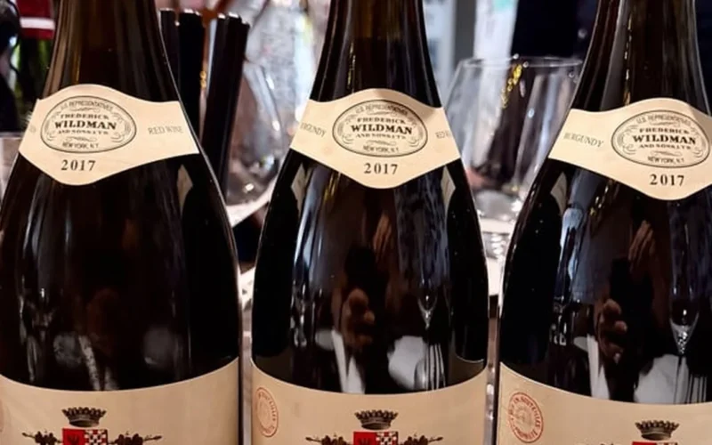 Rousseau Trio Reveals the Power of Patience