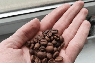 Why Your Delonghi EC685 Is Producing Sour Espresso (And How to Fix It)