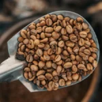 Roasted coffee bean showing first crack, next to roaster and scale on wooden table.