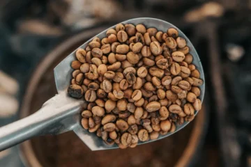 SR800 Roast: When Timing Meets Flavor