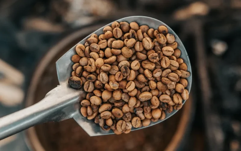 Roasted coffee bean showing first crack, next to roaster and scale on wooden table.