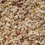 Oat Milk Default Nudge Cuts Cafe Carbon Footprint by 25-34