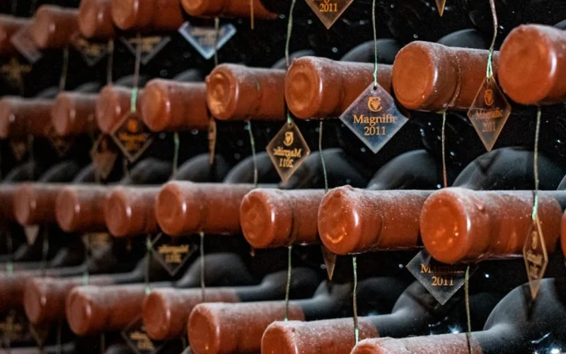 Aged wine bottle in vintage cellar setting with soft lighting and surrounding glassware and books.