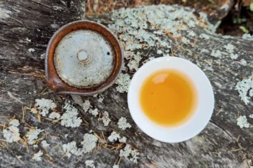 Aging Puer at Home: The Case for Boutique Cakes Over Factory Stock