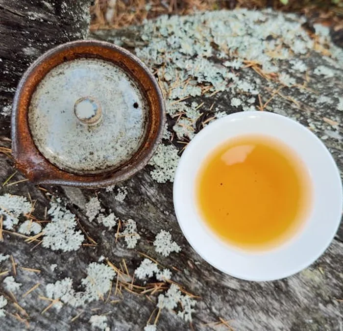 Aging Puer at Home: The Case for Boutique Cakes Over Factory Stock