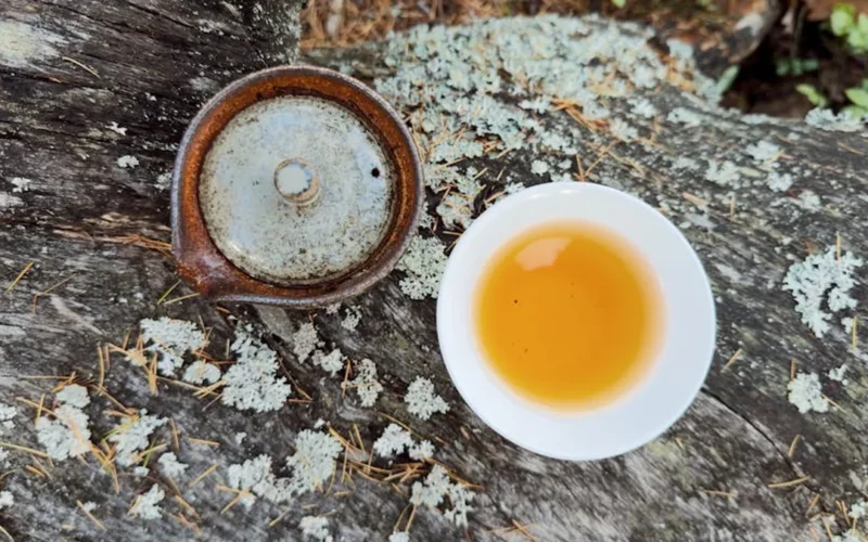 Aging Puer at Home: The Case for Boutique Cakes Over Factory Stock