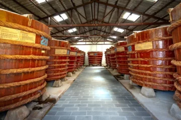 Anaerobic Fermentation Is Quietly Reshaping Specialty Coffee