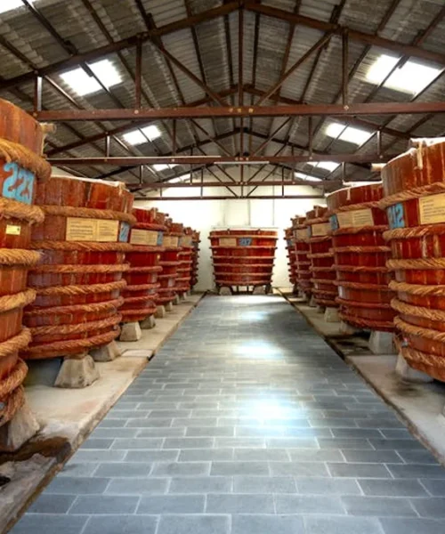 Anaerobic Fermentation Is Quietly Reshaping Specialty Coffee