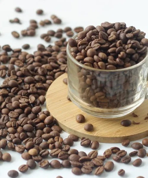 Anaerobic Fermentation Unleashes Bold Spice in Indonesian Dark Roast