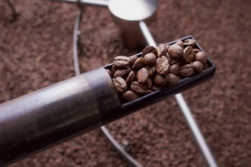 Blacked Out on the Roaster: A First-Time Roaster’s Turbulent Ride