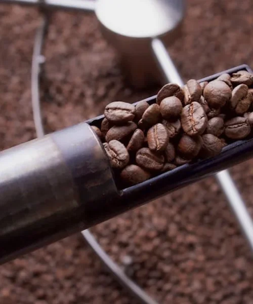 Blacked Out on the Roaster: A First-Time Roaster’s Turbulent Ride