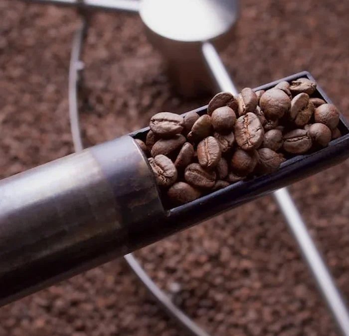 Blacked Out on the Roaster: A First-Time Roaster’s Turbulent Ride