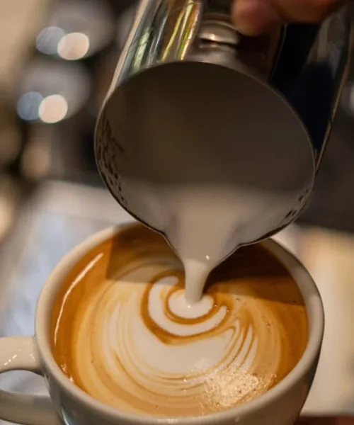 Breville Dual Boiler: My Forever Machine