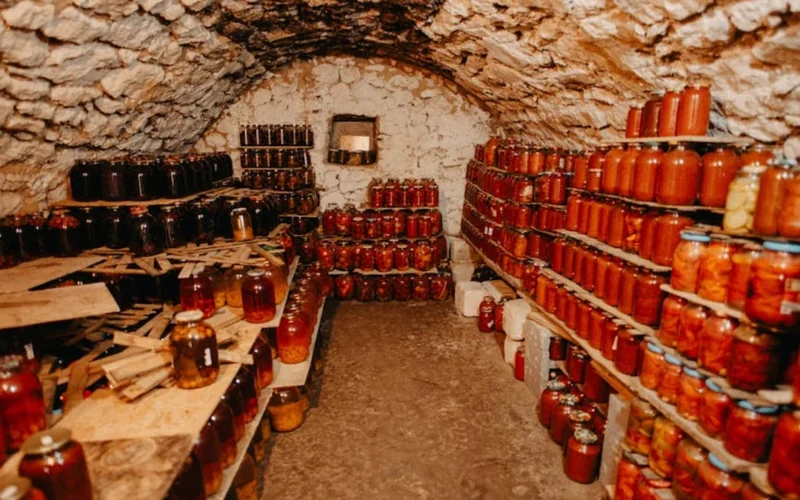 Organic Cava de Guarda Superior bottle in a rustic cellar with aged barrels and natural light.