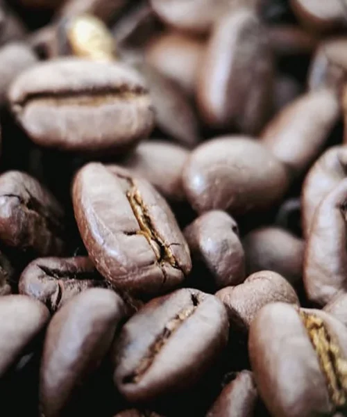 Center Line Char on Naturals: Why ‘Ugly’ Isn’t a Flaw