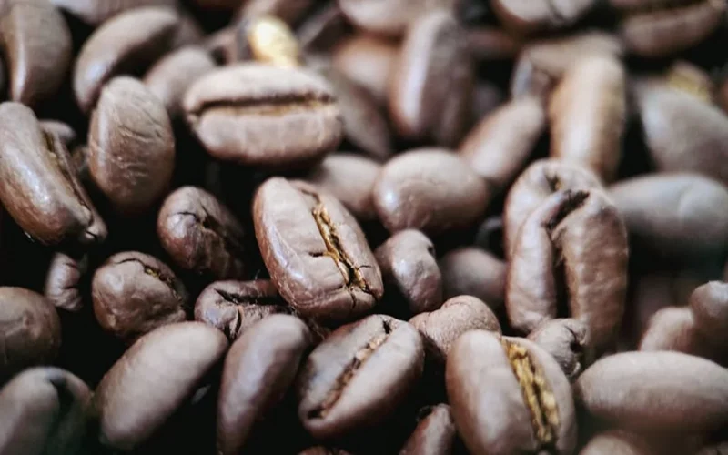 Dark coffee beans with center line char on wooden table under golden light.