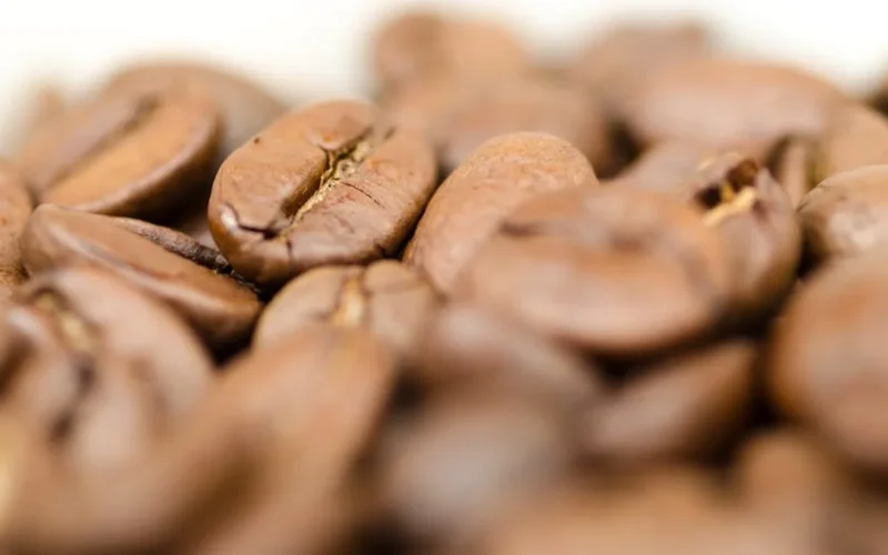 Hand using color meter to measure coffee beans during roasting process.