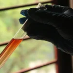 Scientist analyzing coffee samples with voltammetry equipment in a lab setting.
