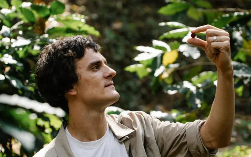 Farmer inspects storm-damaged coffee plants in muddy field under dark clouds.