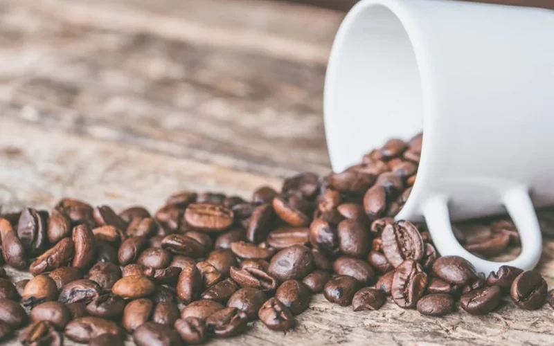 Failed Roasts: The Art of Salvaging or Composting