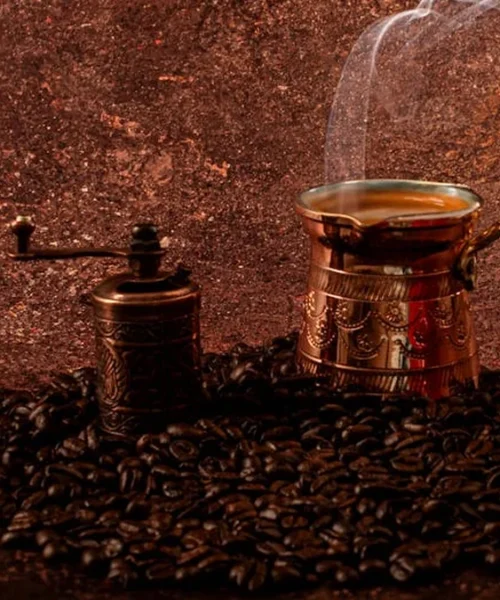 First Roast Frustrations: A Home Roaster’s Temperature Dilemma