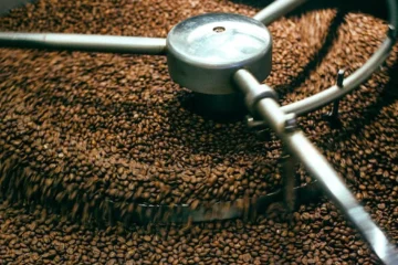First Roast Fumbles: Lessons from the Kaleido M1 Pro