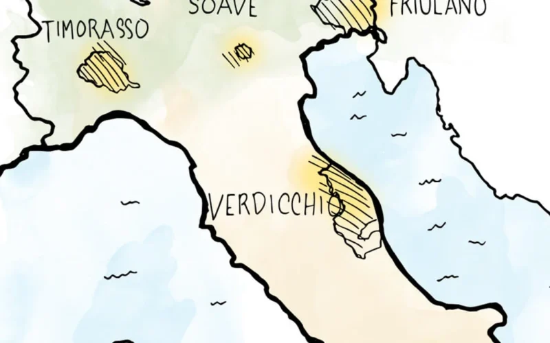 Friulano: Italy’s Secret White Wine Weapon