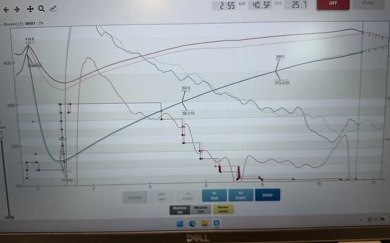 Heat Spikes During Roasting? Here’s How to Master the Curve