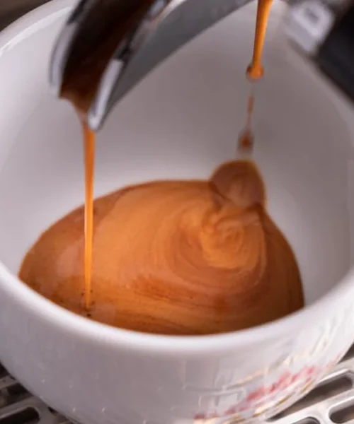 High-Extraction Baskets: Are They Worth the Upgrade Over Paper Filters?