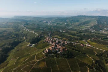 Lugana DOC: The Lake’s Secret White Wine Revolution