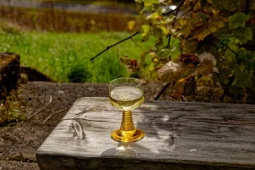 Matassa, Renard, and the Alchemy of Terroir