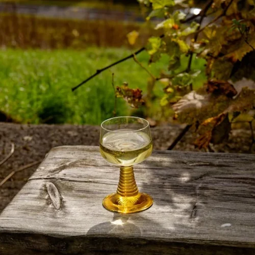 Matassa, Renard, and the Alchemy of Terroir