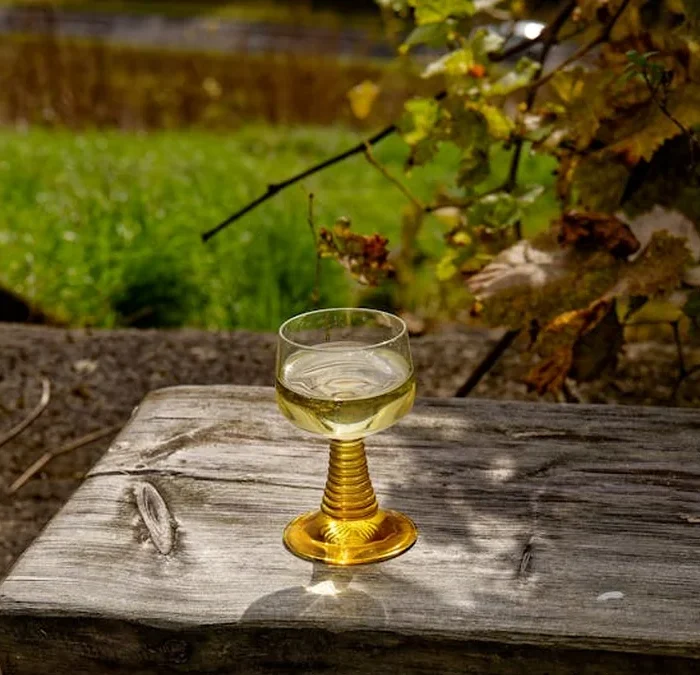 Matassa, Renard, and the Alchemy of Terroir