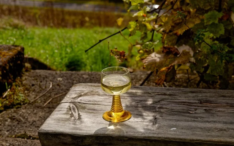 Matassa, Renard, and the Alchemy of Terroir