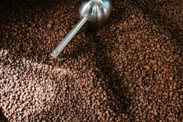 Mexican Green Beans, No Roaster: A Roaster’s Dilemma