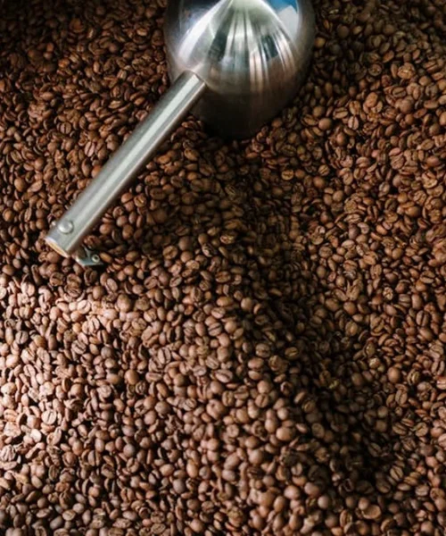 Mexican Green Beans, No Roaster: A Roaster’s Dilemma