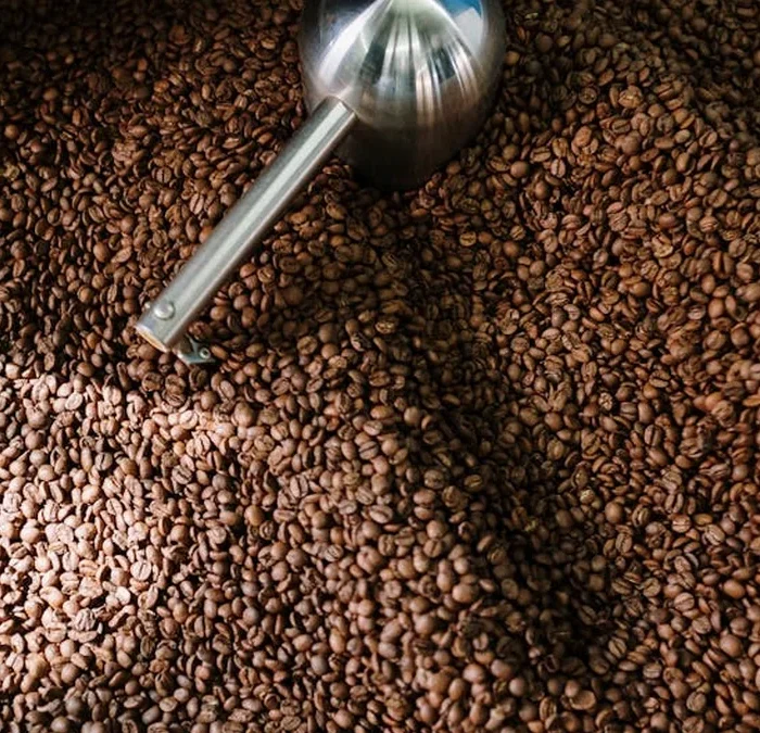 Mexican Green Beans, No Roaster: A Roaster’s Dilemma