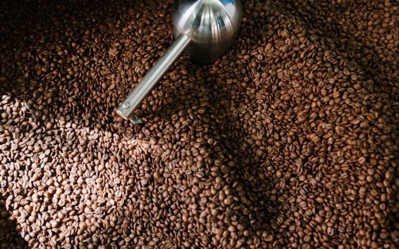 Hand-operated coffee roaster spinning green beans in a warm Mexican kitchen with steam rising.