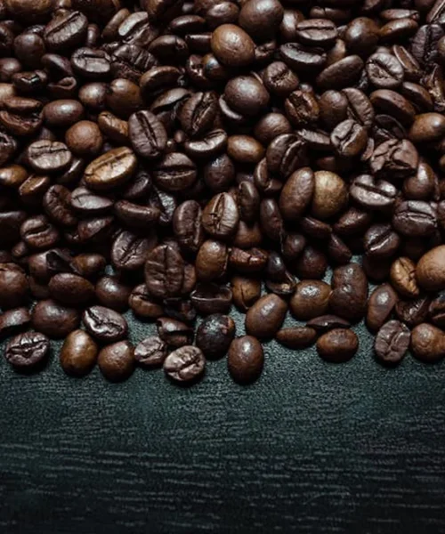 Mikey Rinaldo’s New Math Coffee Challenges Coffee’s Western Narrative