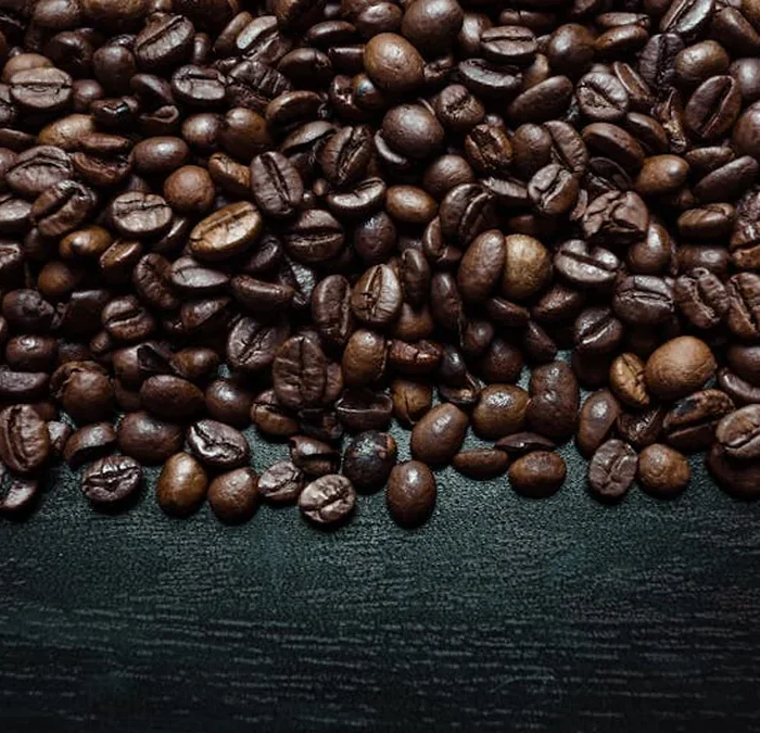 Mikey Rinaldo’s New Math Coffee Challenges Coffee’s Western Narrative