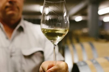 New Zealand Chardonnay: A Cool Climate Masterclass