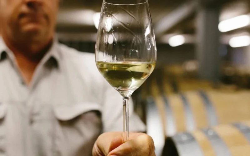 A glass of Chardonnay wine on a vineyard table under sunlight with misty hills in the background.