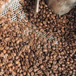 Tanzanian peaberry coffee bean roasting in a small roaster with steam rising and subtle crack sounds.