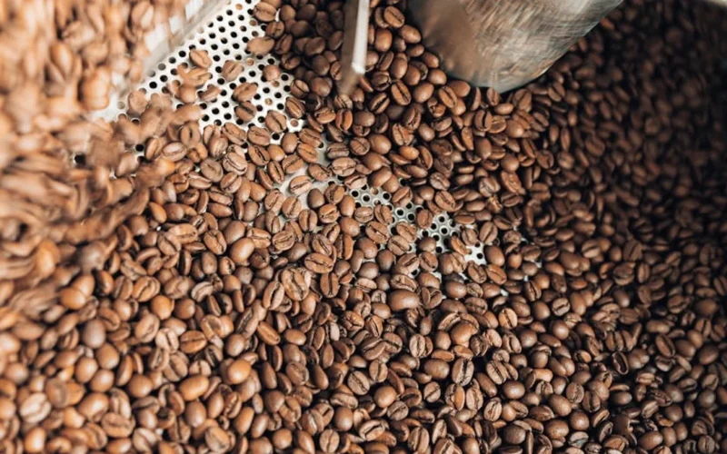 Tanzanian peaberry coffee bean roasting in a small roaster with steam rising and subtle crack sounds.