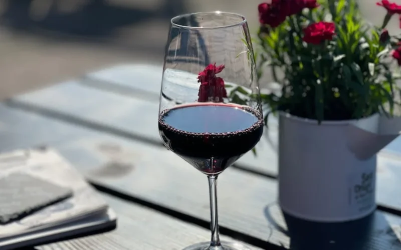 A glass of Pinot Noir on a wooden table with sunlight through a vineyard window.