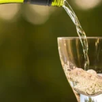 A pale gold white wine glass sits in a sunlit rustic cellar surrounded by oak barrels.